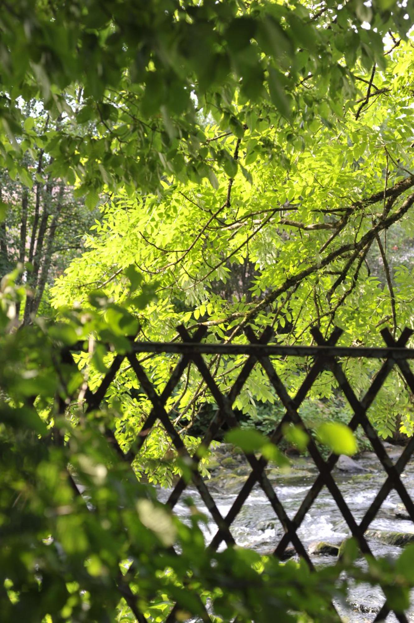 La Maison D'Hotes Du Parc Ronchamp Dış mekan fotoğraf