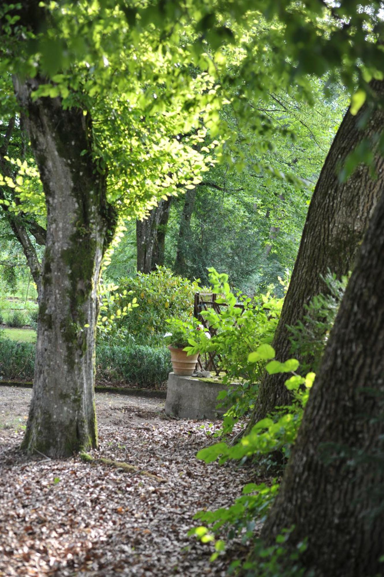 La Maison D'Hotes Du Parc Ronchamp Dış mekan fotoğraf